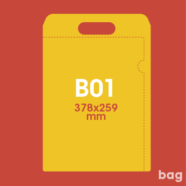 Gabarit C21 100 pages - Pochette plastique couleur personnalisée C20 avec pochette